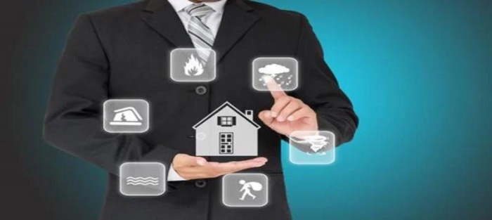 Personal lines insurance agent
